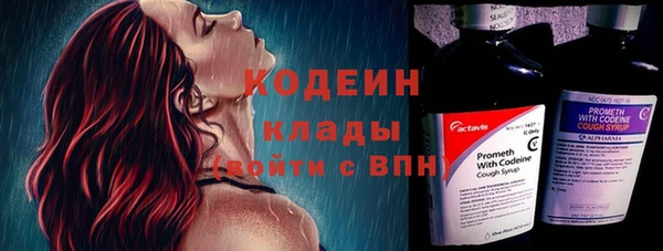 прущие грибы Белокуриха