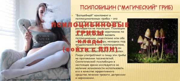 мяу мяу мука Баксан