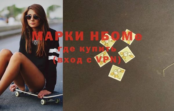 прущие грибы Белокуриха
