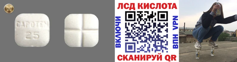 Купить закладки  Поворино  LSD-25 экстази ecstasy 