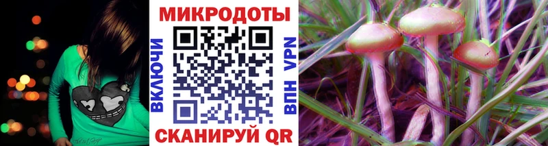 Купить закладки  Поворино  Псилоцибиновые грибы мицелий 